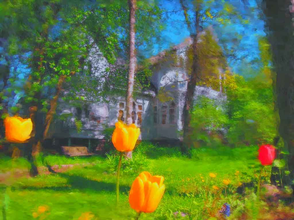 Mester Györgyi: Egy tulipán életrajza